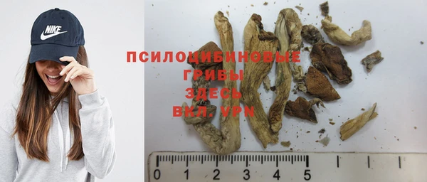 не бодяженный Алзамай